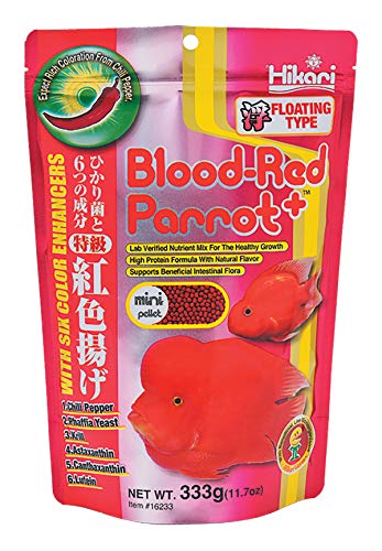 Hikari 330340 Blood, Red Papagei +, Mini Pellets, 333g Hikari 330340 Blood, Red Papagei +, Mini Pellets, 333g von Hikari