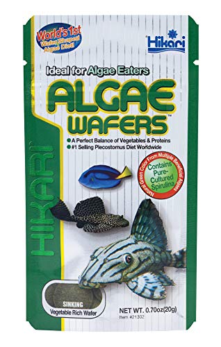 Hikari 48684/316 Sales Tropical Algae Wafers .70 Ounces - 21302 von Hikari