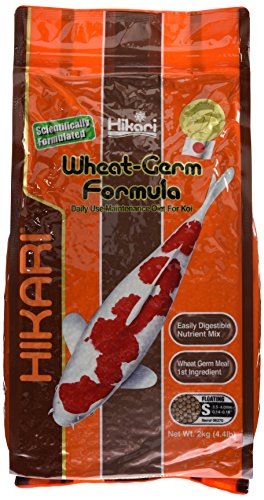 Hikari 4958/1582 Wheat Germ Japanisches Koifutter, Inhalt: 2.0 kg, Größe: 2.7-4.0 mm von Hikari