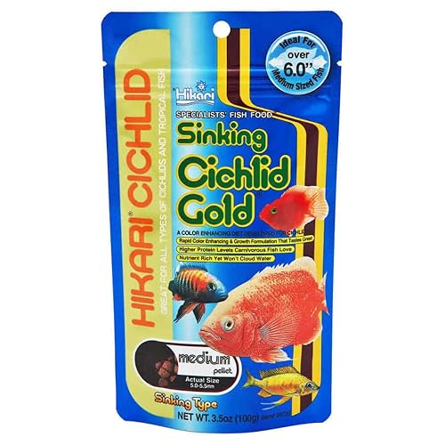 Hikari Cichl Gold Med Sink 3.5o by von Hikari