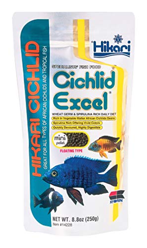 Hikari Cichlid Excel Schwimmende Pellets für Haustiere, 250 g von Hikari