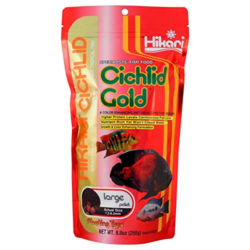 Hikari Cichlid Goldfischfutter, groß, schwimmend, 250 g Hikari Cichlid Goldfischfutter, groß, schwimmend, 250 g von Hikari