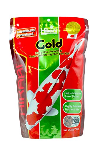 Hikari Fischfutter Gold Large 500 g, 1er Pack (1 x 500 g) von Hikari