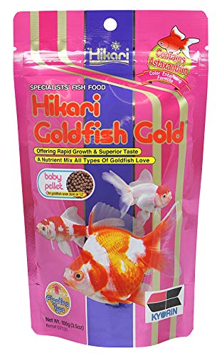 Hikari Goldfish Gold Baby Pellets 100g von Hikari