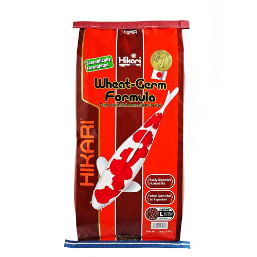 Hikari Koifutter Wheat Germ Large 10 kg Hikari Koifutter Wheat Germ Large 10 kg von Hikari