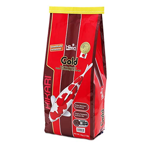 Hikari Koifutter Gold medium 5 kg von Hikari