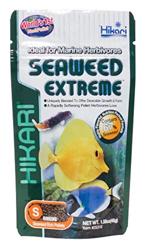 HIKARI M138201 Seaweed Extreme Small Pellet 45G, 1000 ml von HIKARI