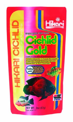 Hikari Sales U.S.A,INC Hikari Cichlid Gold 2 Unzen - 4111 von Hikari