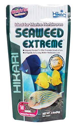 Hikari Seaweed Extreme - Medium Sinkin Wafers - enthält 67% Algen! (90g Tüte) von Hikari
