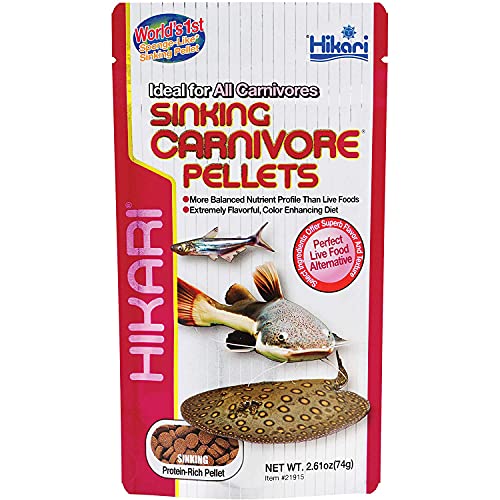 Hikari Sinking Carnivore Pellets für Haustiere, 70 g von Hikari