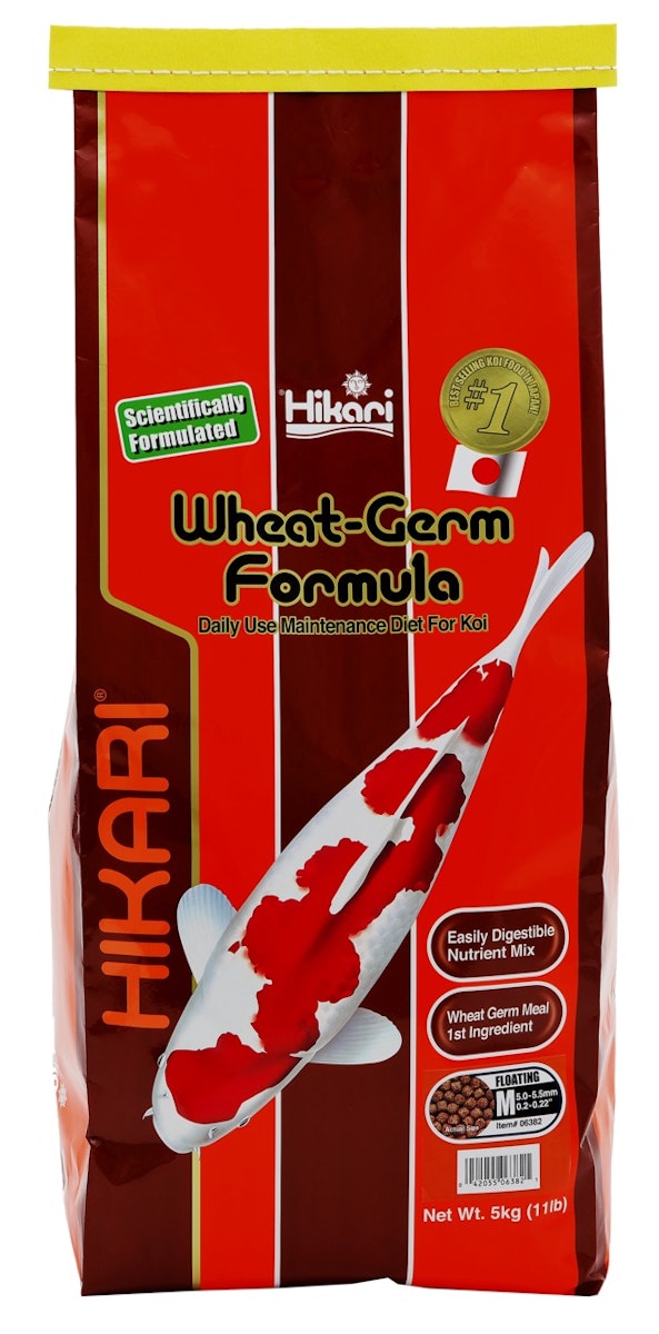Hikari Wheat-Germ Medium Koifutter von Hikari