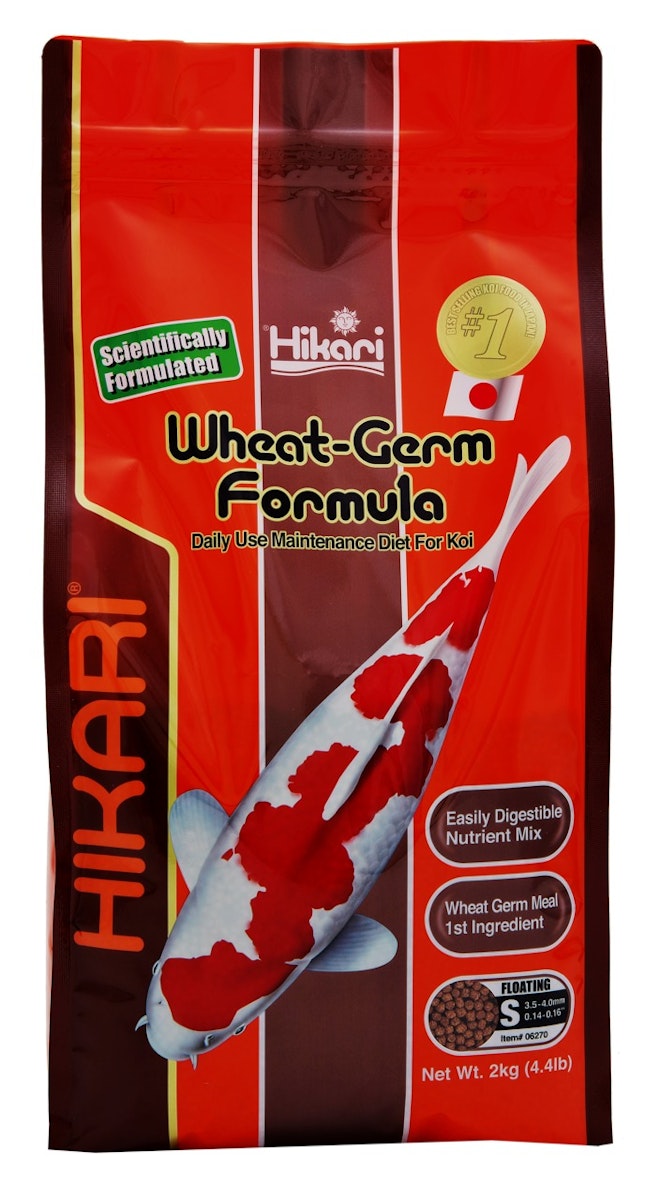 Hikari Wheat-Germ Mini Koifutter von Hikari