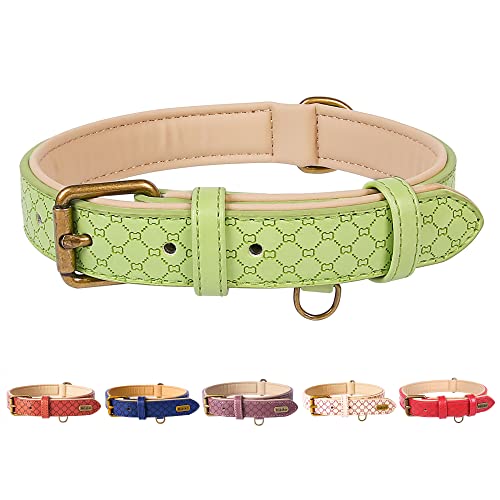 Basic Classic Luxury Padded Leather Dog Collar - Rostproof Brass Strong Leather Collar Heavy Duty Alloy Hardware Best for Small, Medium, Large Dogs von Hikiko
