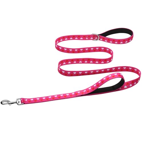 Hikiko Hundeleine mit doppeltem Griff, 1,8 m, für mittelgroße und große Hunde, gepolsterte Verkehrsgriffe, Leine für Spaziergänge, Training (Pink Love) von Hikiko