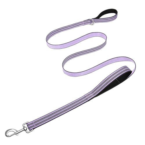 Hikiko Hundeleine mit doppeltem Griff, reflektierend, für mittelgroße und große Hunde, Lavendel, 1,2 m von Hikiko