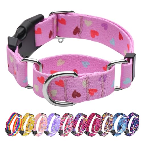 Hikiko Martingal-Halsband mit Herz-Design, süß, weiches Nylon, Schnellverschluss-Schnalle, Hundehalsband für mittelgroße Hunde (frische Liebe, Größe M) von Hikiko