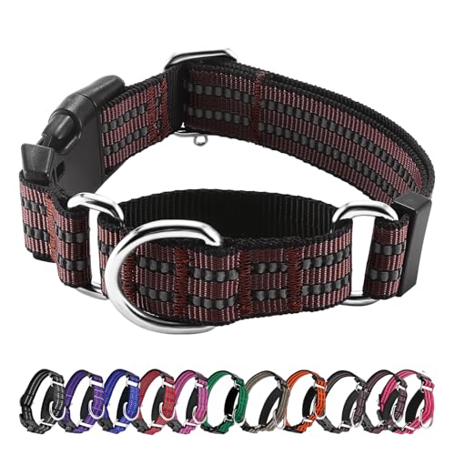 Hikiko Martingal-Hundehalsband, reflektierend, Nylon, mit Schnellverschluss-Schnalle, verstellbar, Training, rutschfest, Größe L, Kaffeebraun Hikiko Martingal-Hundehalsband, reflektierend, Nylon, mit Schnellverschluss-Schnalle, verstellbar, Training, rutschfest, Größe L, Kaffeebraun von Hikiko