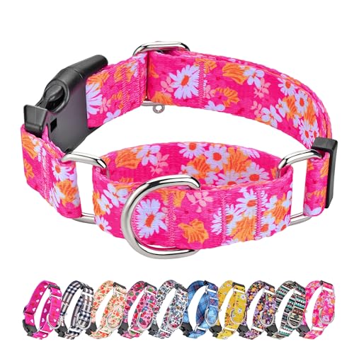Hikiko Martingale-Halsband für Hunde, niedliches Blumenmuster, für kleine, mittelgroße und große Hunde, Frühling, Sommer, Gänseblümchen, Hundehalsband für weibliche Haustiere (Hot Pink Blume, L) Hikiko Martingale-Halsband für Hunde, niedliches Blumenmuster, für kleine, mittelgroße und große Hunde, Frühling, Sommer, Gänseblümchen, Hundehalsband für weibliche Haustiere (Hot Pink Blume, L) von Hikiko