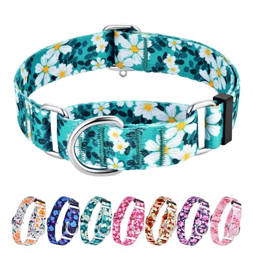 Hikiko Martingale Halsband für Hunde ohne Schnalle, florales Gänseblümchen, weiches Nylon, kein Ziehen, Hundehalsband für extra kleine Hunde, grüne Blume, Größe XS Hikiko Martingale Halsband für Hunde ohne Schnalle, florales Gänseblümchen, weiches Nylon, kein Ziehen, Hundehalsband für extra kleine Hunde, grüne Blume, Größe XS von Hikiko