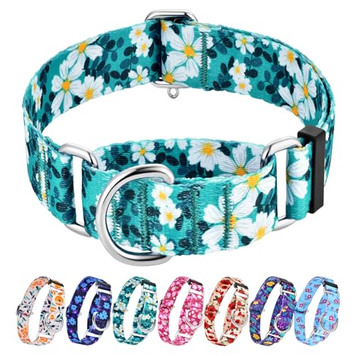 Hikiko Martingale-Halsband ohne Schnalle, strapazierfähig, für mittelgroße und große Hunde, 3,8 cm, grüne Blume Hikiko Martingale-Halsband ohne Schnalle, strapazierfähig, für mittelgroße und große Hunde, 3,8 cm, grüne Blume von Hikiko