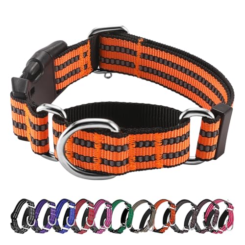 Hikiko Martingale Hundehalsband, reflektierend, Nylon, mit Schnellverschluss-Schnalle, verstellbar, Training, rutschfest, Größe L, Orange Hikiko Martingale Hundehalsband, reflektierend, Nylon, mit Schnellverschluss-Schnalle, verstellbar, Training, rutschfest, Größe L, Orange von Hikiko