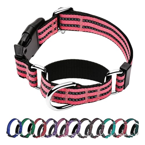 Hikiko Martingale Hundehalsband, reflektierend, Nylon, mit Schnellverschluss-Schnalle, verstellbar, Training, rutschfest, Größe M, Kirschrosa von Hikiko