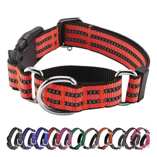 Hikiko Martingale Hundehalsband, reflektierend, Nylon, mit Schnellverschluss-Schnalle, verstellbar, Training, rutschfest, Größe M, Mandarine Hikiko Martingale Hundehalsband, reflektierend, Nylon, mit Schnellverschluss-Schnalle, verstellbar, Training, rutschfest, Größe M, Mandarine von Hikiko