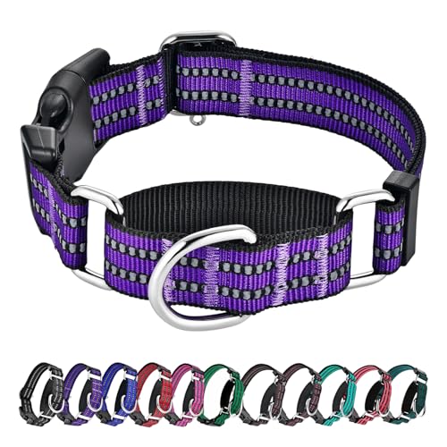 Hikiko Martingale Hundehalsband, reflektierend, Nylon, mit Schnellverschluss-Schnalle, verstellbar, Training, rutschfest, Größe M, Violett Hikiko Martingale Hundehalsband, reflektierend, Nylon, mit Schnellverschluss-Schnalle, verstellbar, Training, rutschfest, Größe M, Violett von Hikiko