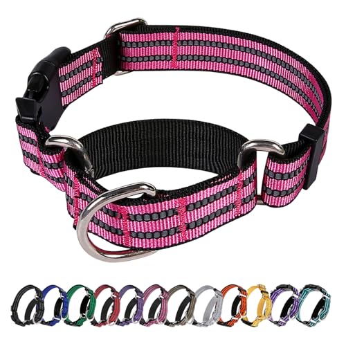 Hikiko Martingale Hundehalsband, reflektierend, Nylon, mit Schnellverschluss-Schnalle, verstellbar, Training, rutschfest, Größe XS, Rosa von Hikiko