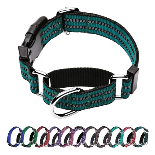 Hikiko Martingale Hundehalsband, reflektierend, Nylon, mit Schnellverschluss-Schnalle, verstellbar, Training, rutschfest, Hundehalsband (klein, dunkelgrün) von Hikiko