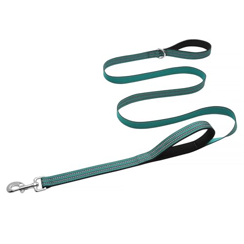 Hikiko Robuste Hundeleine mit 2 gepolsterten Griffen, reflektierendes Nylon, Doppelgriff, 152 cm, Dunkelgrün von Hikiko
