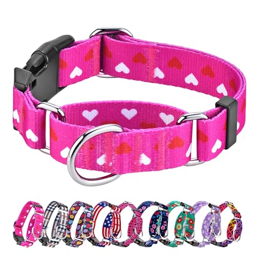 Hikiko Valentinstag-Hundehalsband für kleine, mittelgroße und große Hunde, verstellbares Martingal-Halsband mit Herz-Motiv, Schnellverschluss-Schnalle (Pink Love, Größe L) von Hikiko
