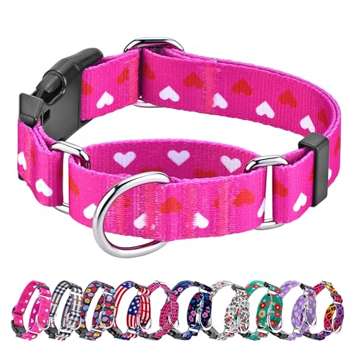 Hikiko Valentinstags-Hundehalsband für Xsmall Welpen, mit verstellbarem Herz, Martingal-Halsband, Schnellverschluss-Schnalle, Pink Love, Größe XS Hikiko Valentinstags-Hundehalsband für Xsmall Welpen, mit verstellbarem Herz, Martingal-Halsband, Schnellverschluss-Schnalle, Pink Love, Größe XS von Hikiko