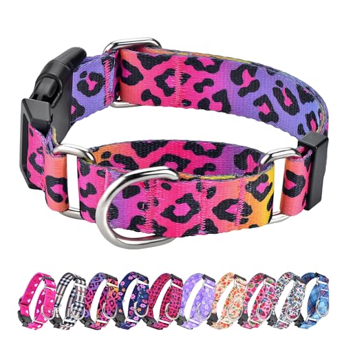 Martingale Halsband für Hunde, verstellbar, weiches Nylon, mit speziellem Design, niedliche Muster für Welpen, Größe XS, Leopardenmuster (XS, Farbverlauf) von Hikiko