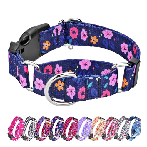 Martingale Halsband für Hunde, verstellbar, weiches Nylon, mit speziellem Design, niedliche Muster für Welpen, Größe XS, blaue Blume Martingale Halsband für Hunde, verstellbar, weiches Nylon, mit speziellem Design, niedliche Muster für Welpen, Größe XS, blaue Blume von Hikiko