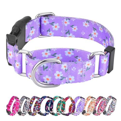 Martingale Halsband für Hunde, verstellbar, weiches Nylon, mit speziellem Design, niedliche Muster für Welpen, Größe XS, lila Blume Martingale Halsband für Hunde, verstellbar, weiches Nylon, mit speziellem Design, niedliche Muster für Welpen, Größe XS, lila Blume von Hikiko