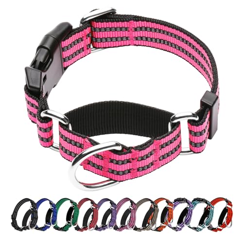 Martingale Hundehalsbänder – Reflektierendes Hundehalsband mit Schnellverschluss-Schnalle, Verstellbares Nylon-Trainings-Hundehalsband, geeignet für Welpen für kleine, mittelgroße und große Hunde von Hikiko