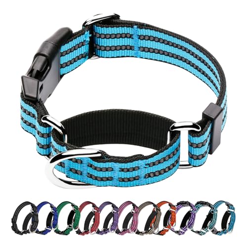 Martingale Hundehalsbänder – Reflektierendes Hundehalsband mit Schnellverschluss-Schnalle, Verstellbares Nylon-Trainings-Hundehalsband, geeignet für Welpen für kleine, mittelgroße und große Hunde von Hikiko