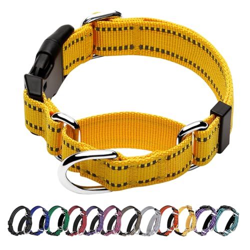 Hikiko Martingale Hundehalsband, reflektierend, Nylon, mit Schnellverschluss-Schnalle, verstellbar, Training, rutschfest, Größe M, Gelb von Hikiko