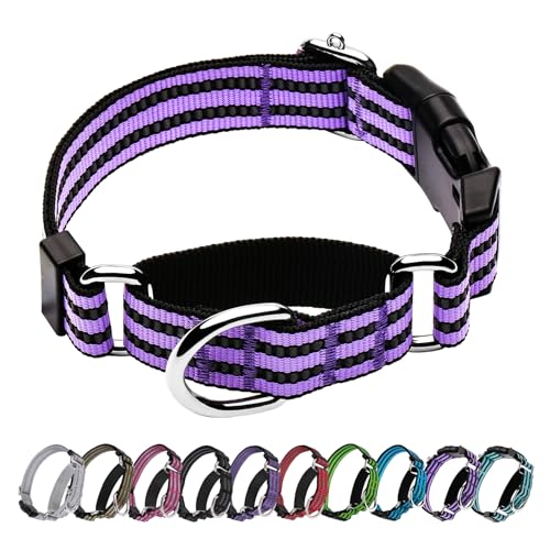 Hikiko Martingale Hundehalsband, reflektierend, Nylon, mit Schnellverschluss-Schnalle, verstellbar, Training, rutschfest, Hundehalsband (klein, Lavendel) von Hikiko