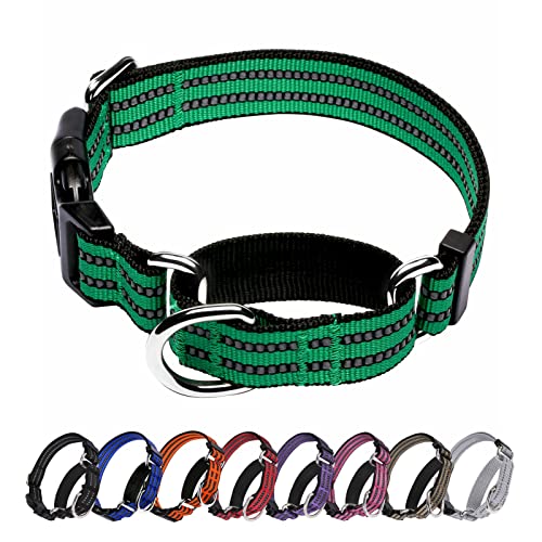 Hikiko Martingale Hundehalsband, reflektierend, Nylon, mit Schnellverschluss-Schnalle, verstellbar, Training, rutschfest, Größe L, Grün von Hikiko
