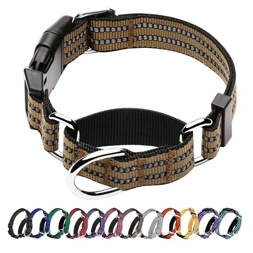 Martingale Hundehalsbänder – Verstellbares, reflektierendes Hundetrainingshalsband mit Schnellverschluss-Schnalle für kleine, L: 2.5 cm verwickelt für 43.2 cm,59.7 cm Halsumfang) von Hikiko