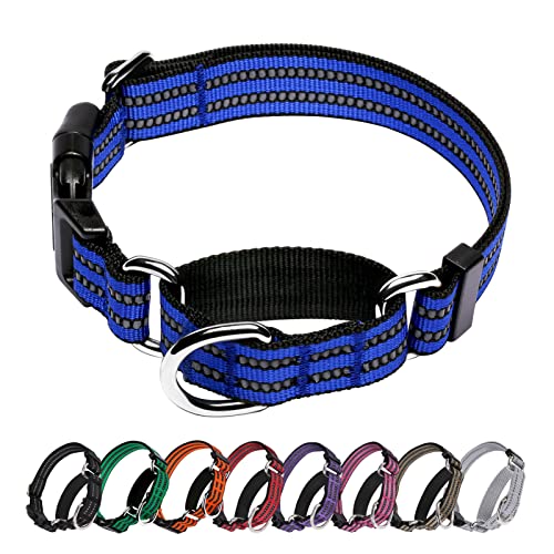 Martingale Hundehalsband, verstellbar, reflektierend, mit Schnellverschluss-Schnalle für kleine, mittelgroße und große Hunde. (Blau, Größe S: 1,9 cm, für Halsumfang von 25,4 cm-34,3 cm) von Hikiko