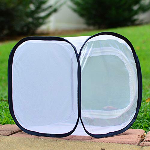 Schmetterlingshaus, Schmetterling Habitat Net, Insekt Käfig Mesh-Net Garten Gemüse Schutz Sämling Transparent Incubator 30 * 30 * 30cm Schmetterlingshaus, Schmetterling Habitat Net, Insekt Käfig Mesh-Net Garten Gemüse Schutz Sämling Transparent Incubator 30 * 30 * 30cm von Hilai