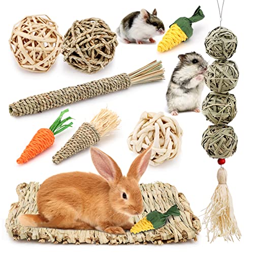 10 Stk Kaninchen Kauspielzeug Hamster Kauspielzeug zum Aufhängen Hasen Spielzeug Bunny Kauspielzeug Grasball Karotten Mais-Sticks Rattankugel Kleintier Grasmatten für Chinchilla Eichhörnchen Rennmäuse von Hileyu