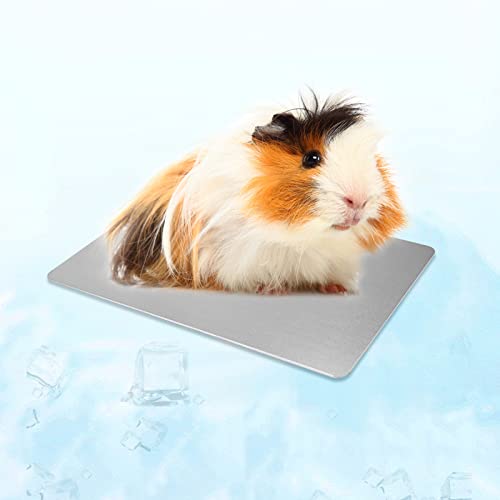 Hileyu Kühlmatte für Hamster Kleintiere Kühlmatte Kaninchen Kühlkissen Schlafbetten für Kleintier Welpe Meerschweinchen Hamster Kaninchen Hamster Katze Hase (12 * 8cm/4.7 * 3.1in) von Hileyu