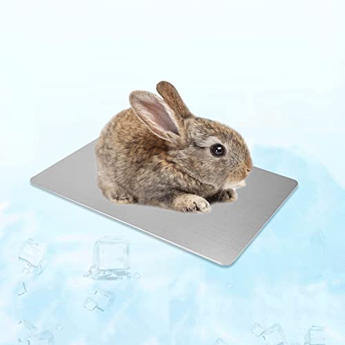 Hileyu Kühlmatte für Kleintiere Kaninchen Meerschweinchen Hamster Kühlkissen Schlafbetten für Kleintier Welpe Katze Hase (30 * 20cm/11.8 * 7.8in) von Hileyu