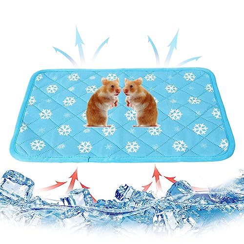 Hileyu Sommer Kühlmatte für Kaninchen Hamster Kühlung Pad Meerschweinchen Schlafmatte Bett für kleine Haustier Welpe Kaninchen Hase Hamster Chinchilla Katze 40 * 30cm/15.7 * 11.8in (Blue) von Hileyu