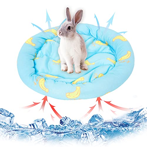 Kleintiere Kühlmatte Bett Kaninchen Hamster Kühlkissen Sommer EIS Seide Schlafbett für kleine Haustiere Welpe Meerschweinchen Hamster Kaninchen Hamster Katze (Blue) von Hileyu