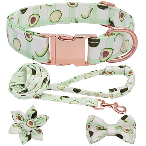 Hilkycton Hundehalsband und Leine, Set mit Blumen-Fliege, Mädchen-Hundehalsband, Erkennungsmarke, Metallschnalle, verstellbar für kleine, mittelgroße und große Hunde, Avocado-XS Hilkycton Hundehalsband und Leine, Set mit Blumen-Fliege, Mädchen-Hundehalsband, Erkennungsmarke, Metallschnalle, verstellbar für kleine, mittelgroße und große Hunde, Avocado-XS von Hilkycton